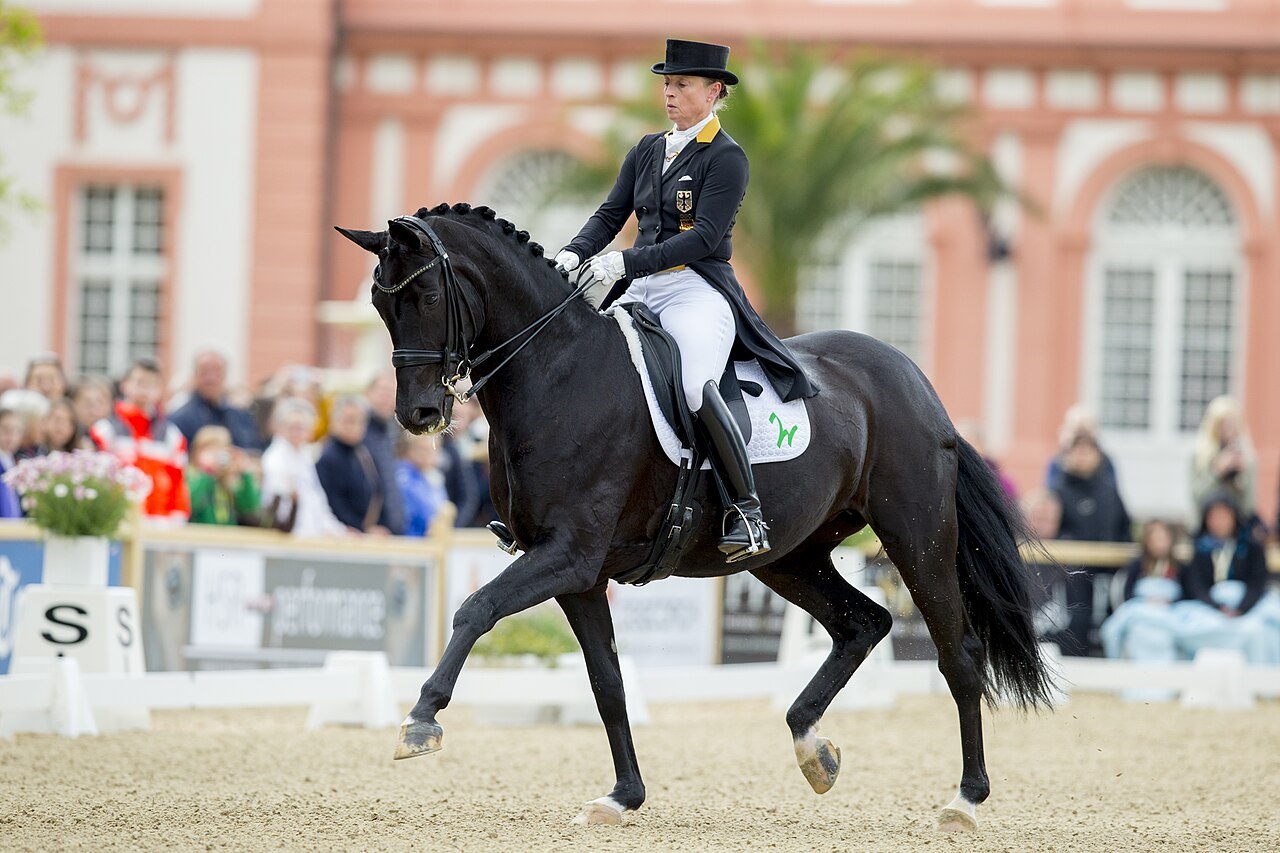 Reitturnier in Wiesbaden mit Zuschauern und Pferden